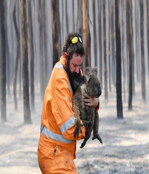 aussie bushfires, 2020, natural disasters, firefighters 